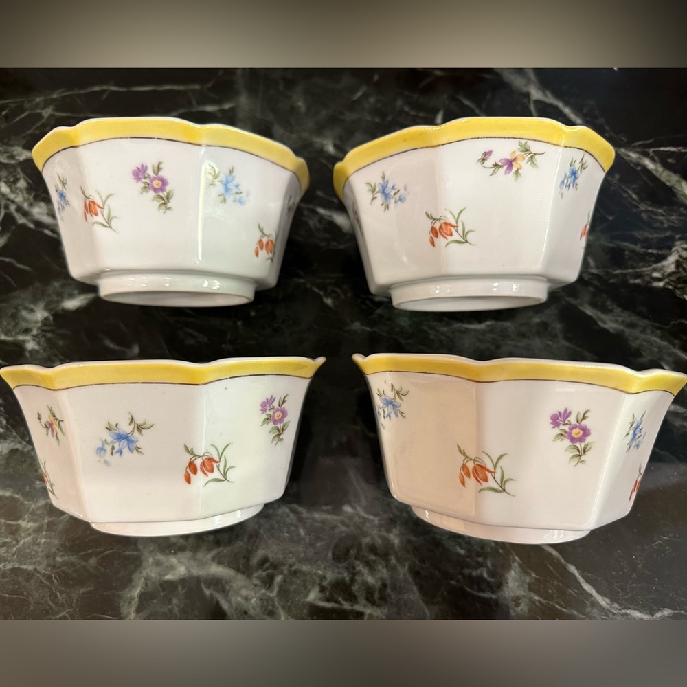 Taste Setter by Sigma “Grand Duchess” Bowls Set of 4